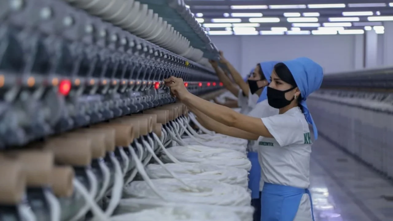 78% of commercial organizations in Uzbekistan are LLCs