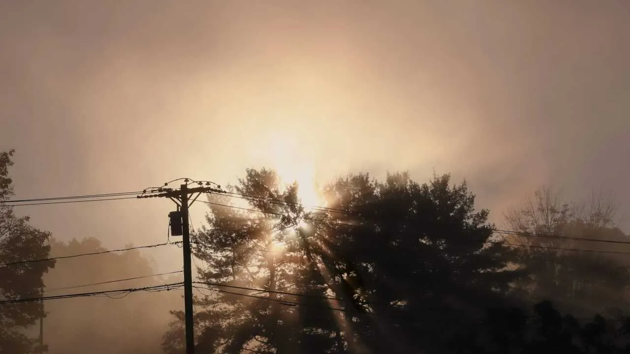 22-noyabr: O‘zbekistonda iliq havo va tuman kutilmoqda