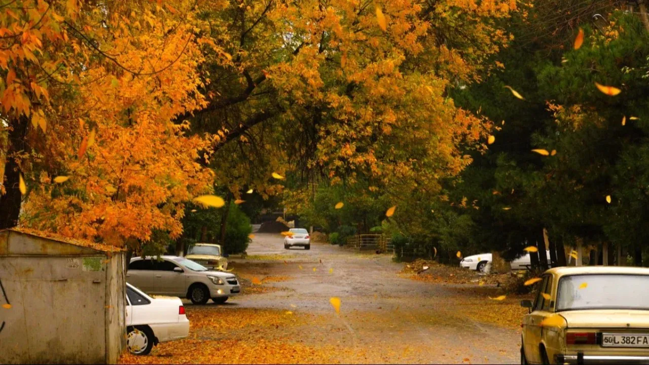 В течение недели погода будет теплой и без осадков