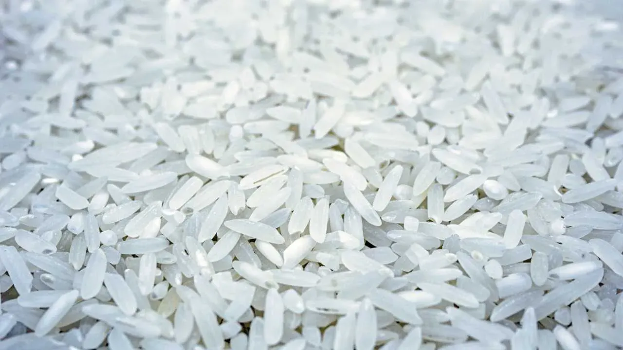 Узбекистан стал крупнейшим покупателем риса из Кыргызстана