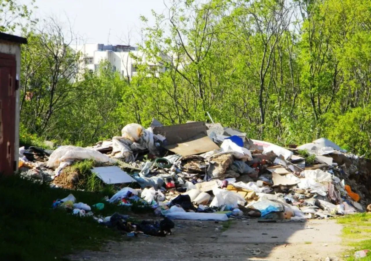 В Узбекистане растет количество экологических преступлений