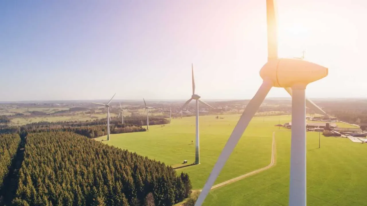 В Узбекистане ускоряются работы по переходу к зеленой экономике