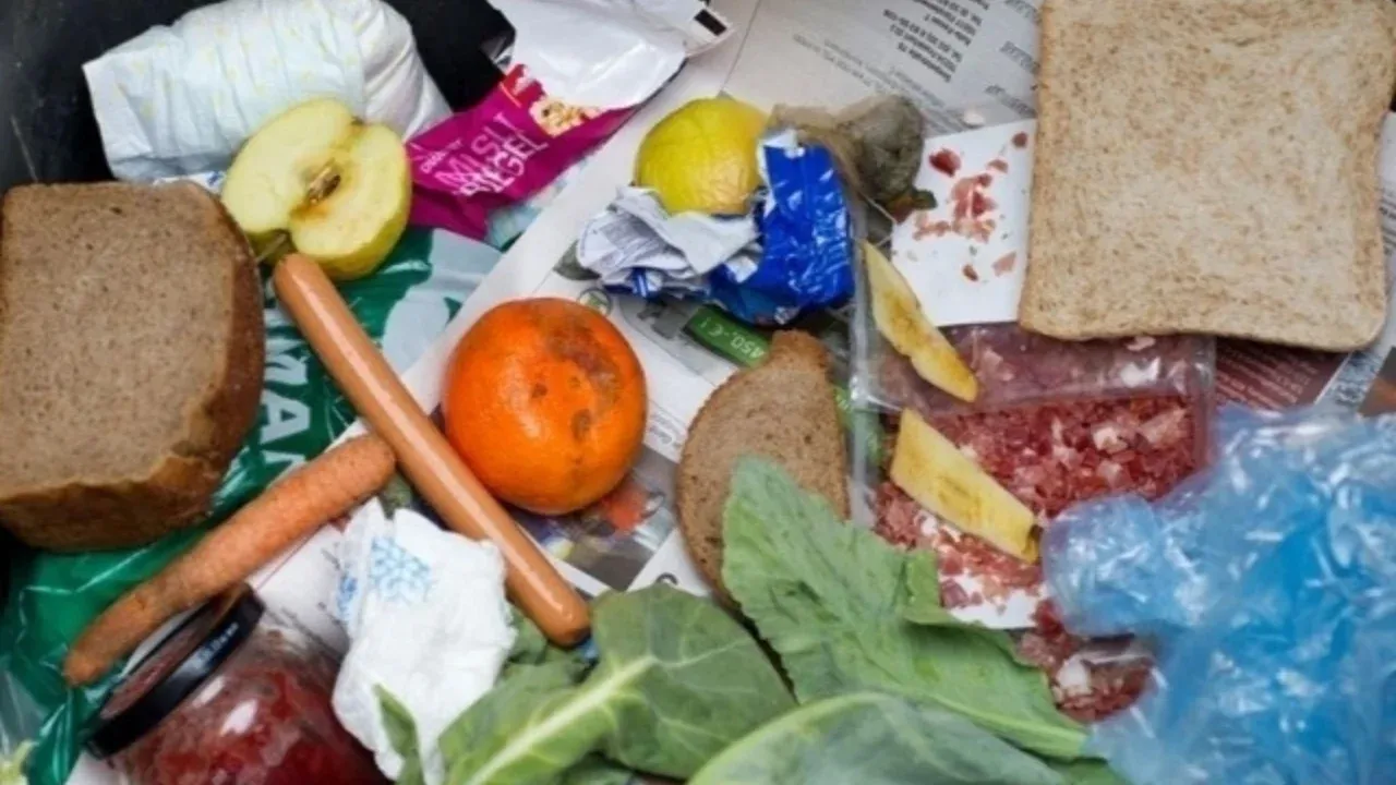 Пищевые отходы наносят серьезный ущерб экологии