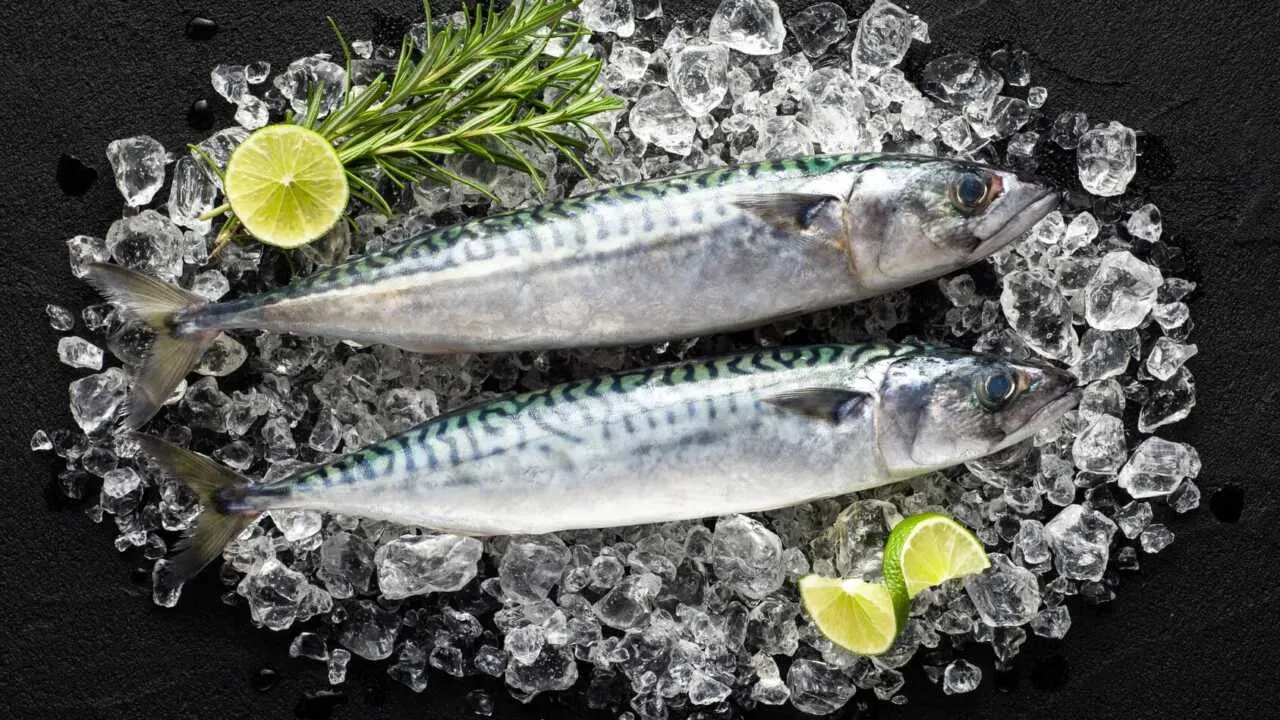 The price of mackerel sharply increased in Tashkent