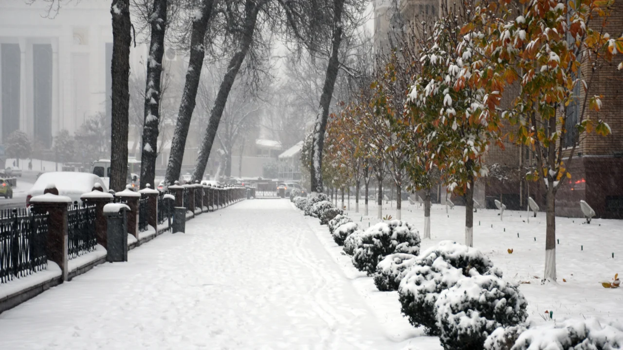 14-15-dekabrda qor va yomg‘ir kutilmoqda