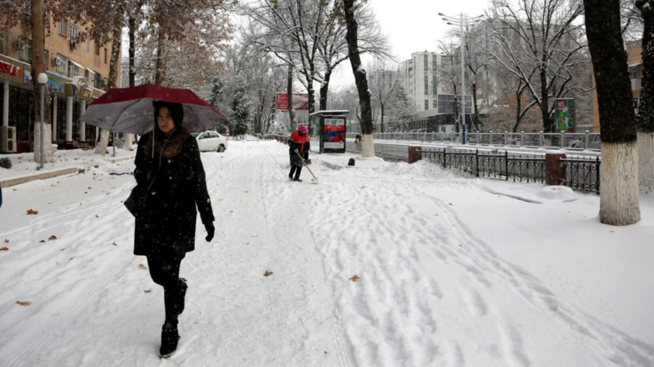 December 19: Snow, rain, and fog expected in Uzbekistan