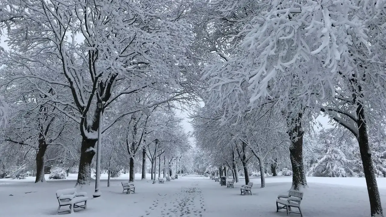 Dekabrda iliq kunlar kutilyapti, yog‘ingarchilik ehtimoli bor.