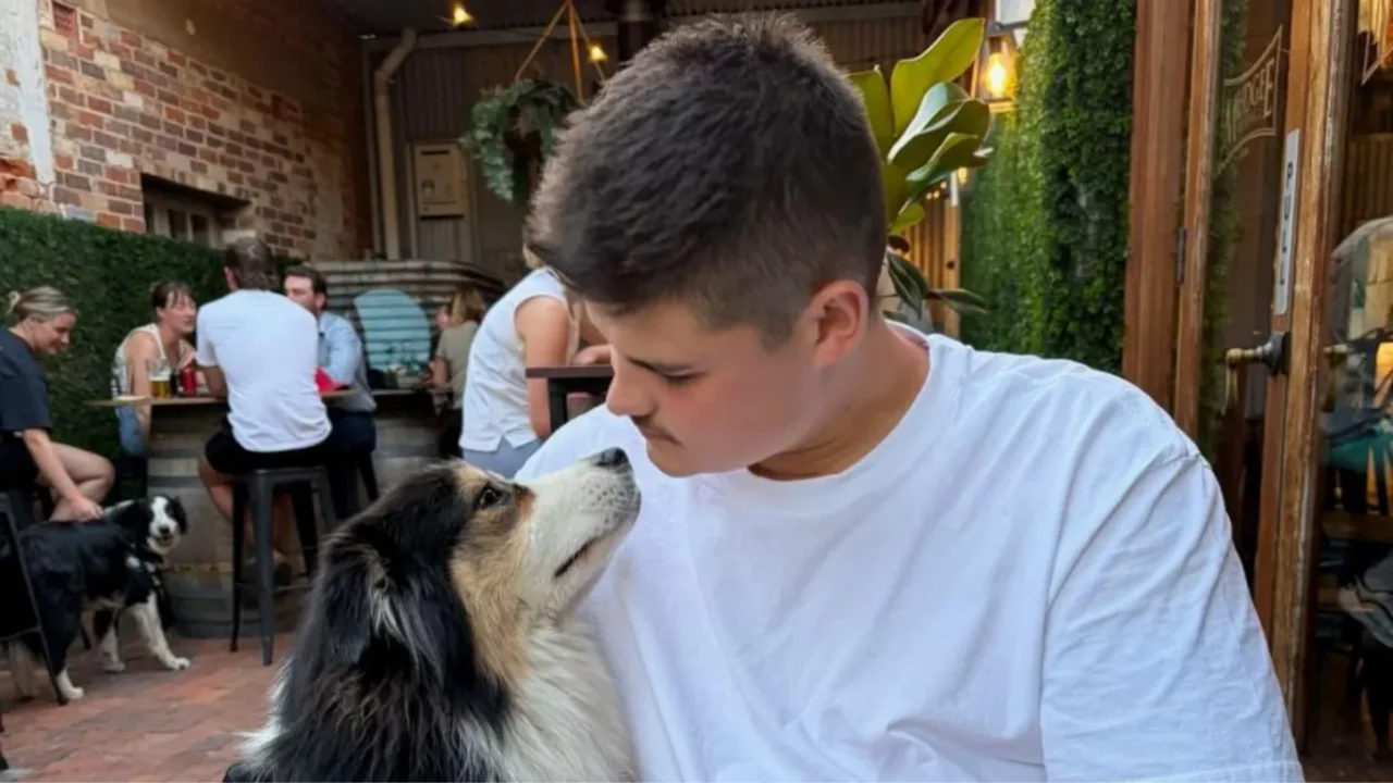 Hujumda jarohatlangan politsiyachi Jek uyga qaytdi