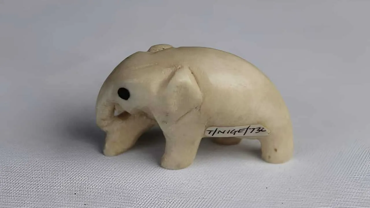 Over 600 exhibits stolen from Bristol museum