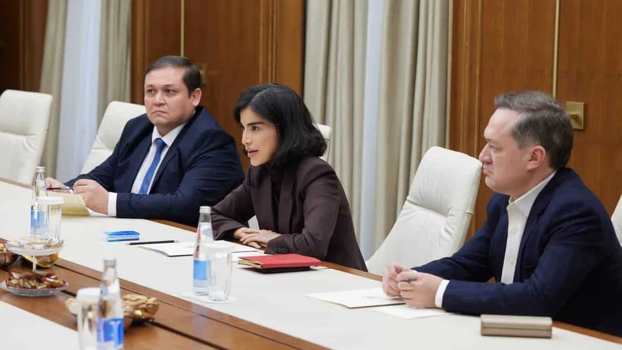 Discussion on the construction of Disneyland park in Uzbekistan