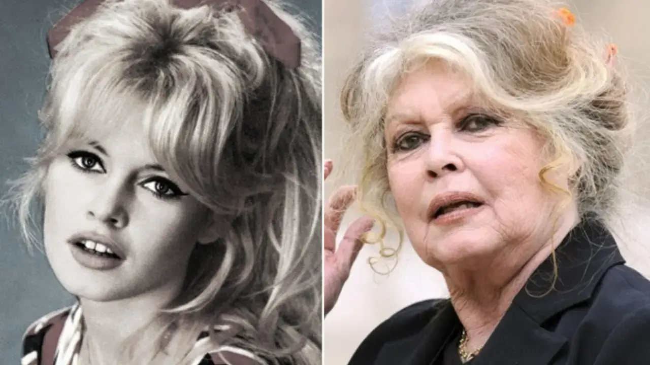 French cinema star Brigitte Bardot passed away