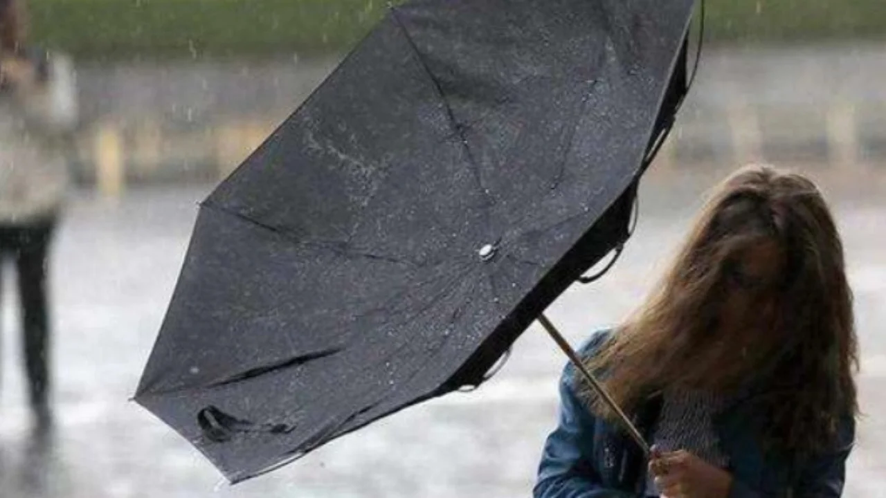 10 декабря в Узбекистане ожидается переменная погода