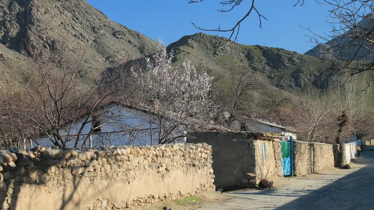 Система социальной помощи обновляется: вводится новый порядок