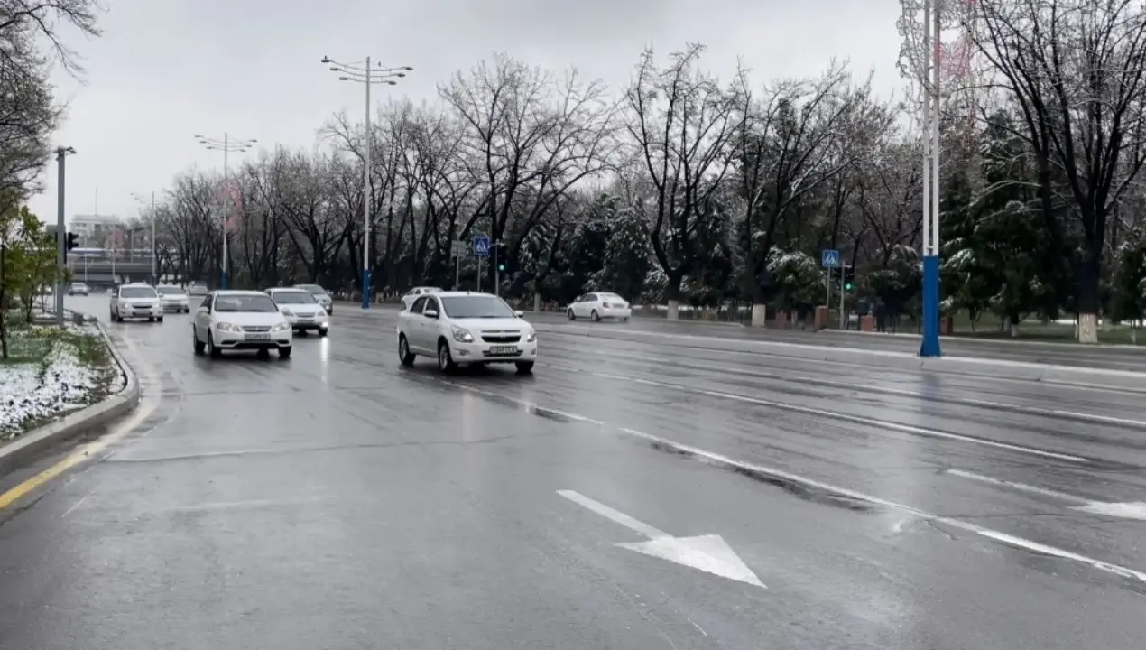 2025-yil dekabr: iliq kunlar va yog‘ingarchilik kutilmoqda