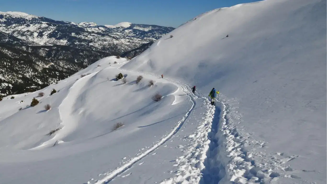 Gretsiya tog‘larida yo‘qolgan to‘rt sayyoh halok bo‘ldi
