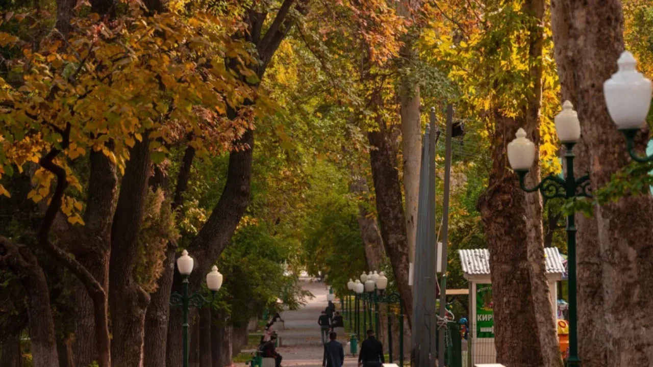 1 декабря: В Узбекистане переменная погода, без осадков