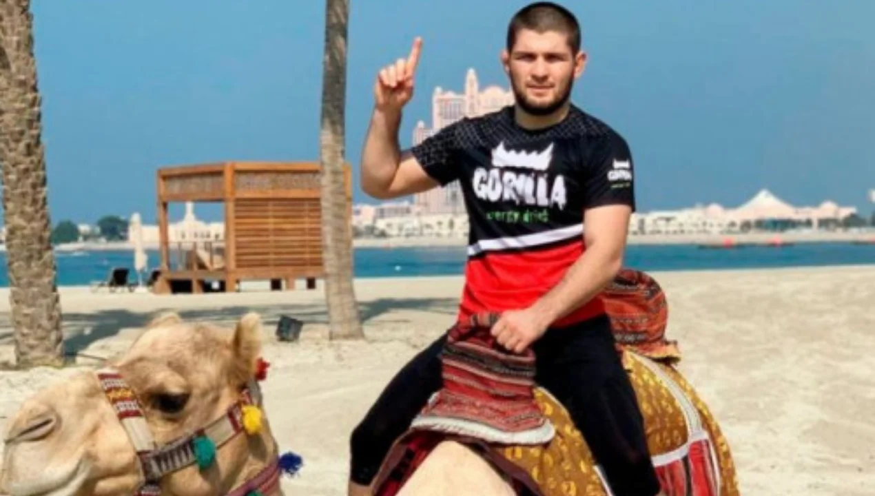 Xabib Nurmagomedov: 