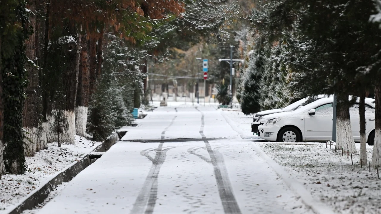 Rain and fog expected on December 12-15