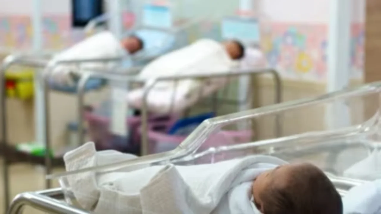 Olmaotada chaqaloqlar savdosi bilan shug‘ullangan guruh fosh etildi