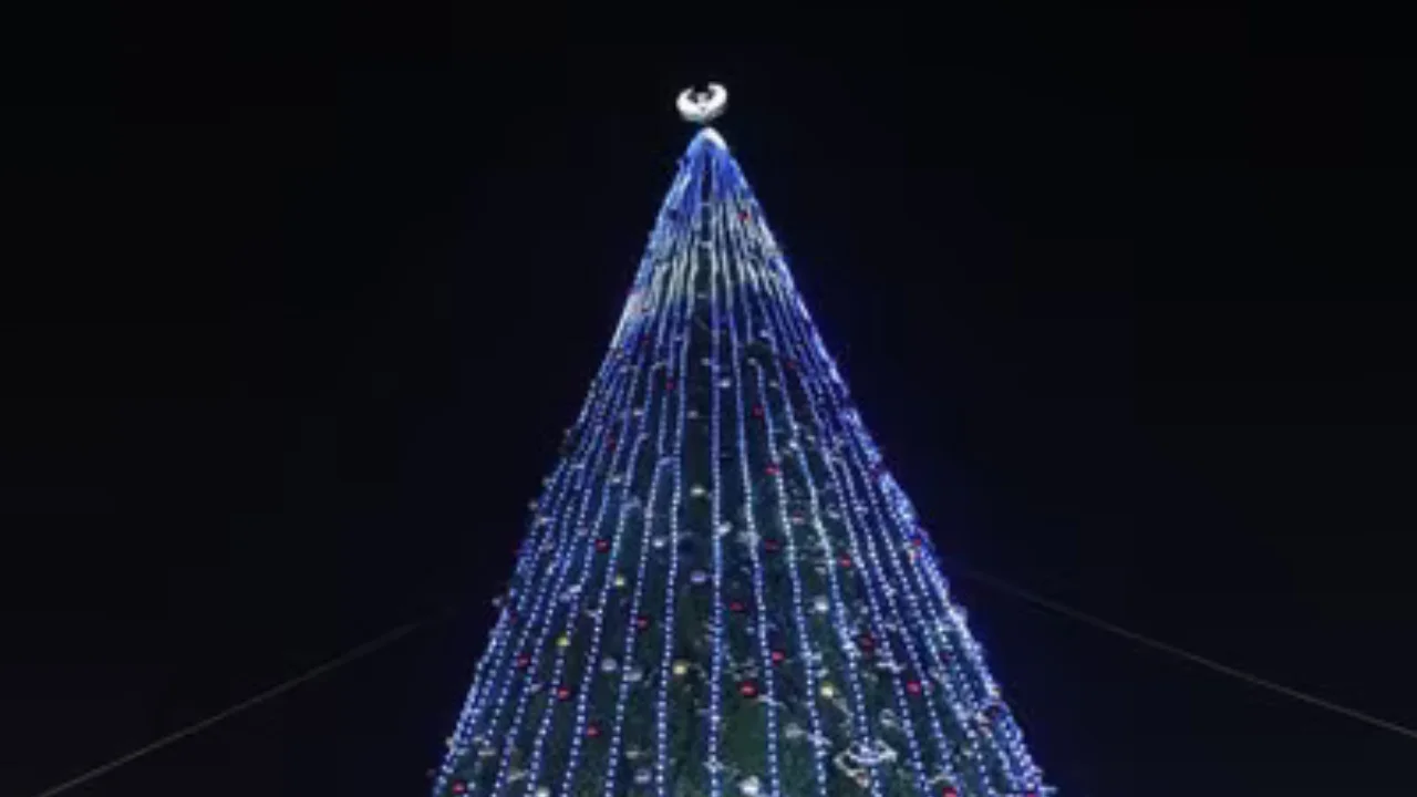 The main Christmas tree lights were turned on in Tashkent region