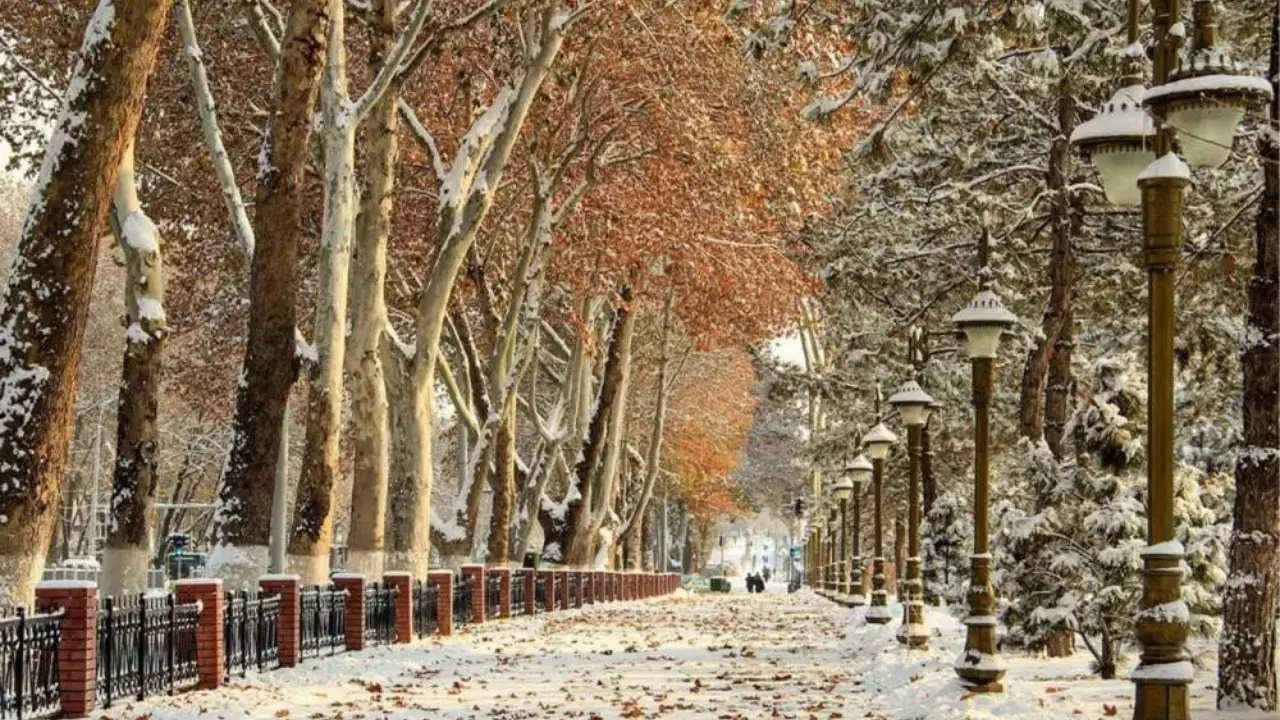 The weather in Uzbekistan today is variable, fog is expected.