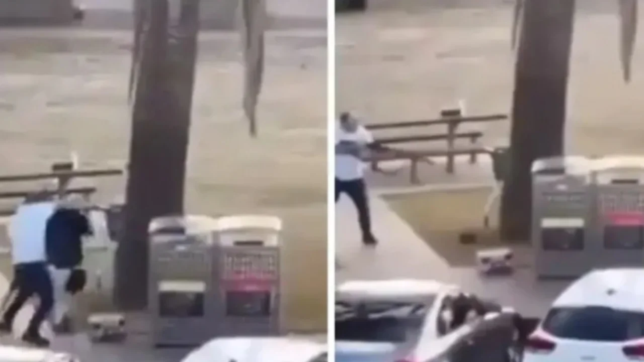 Armed attack in Sydney: 12 people killed