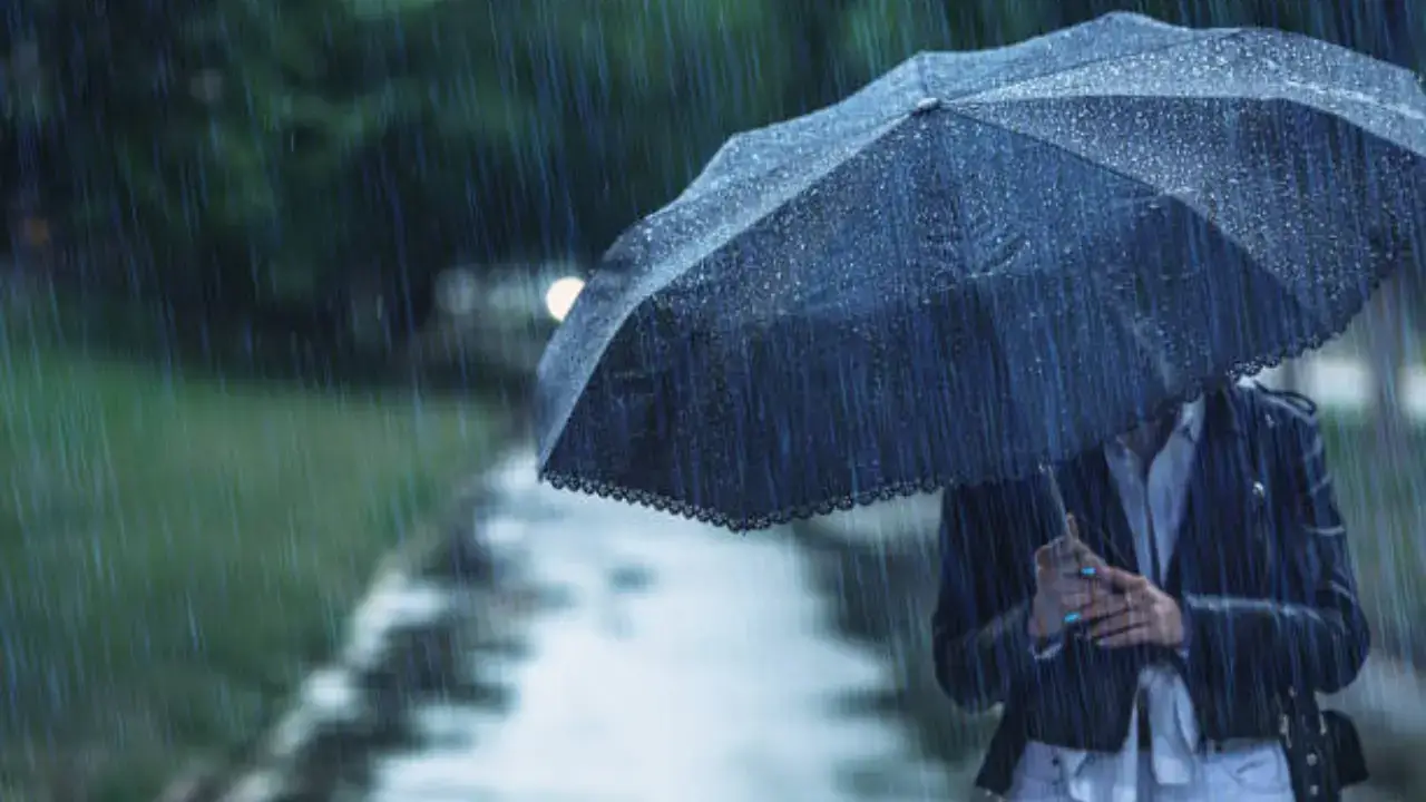 On December 29, the weather in Uzbekistan will be variable