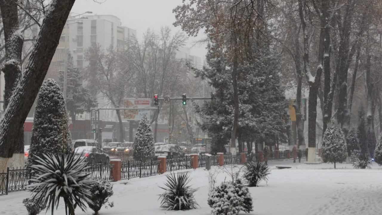 8-dekabrda O‘zbekistonda sovuq va nam havo kutiladi