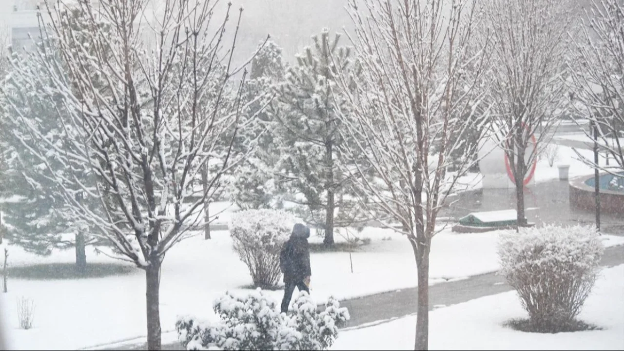 Avalanche risk in the mountains: be careful!