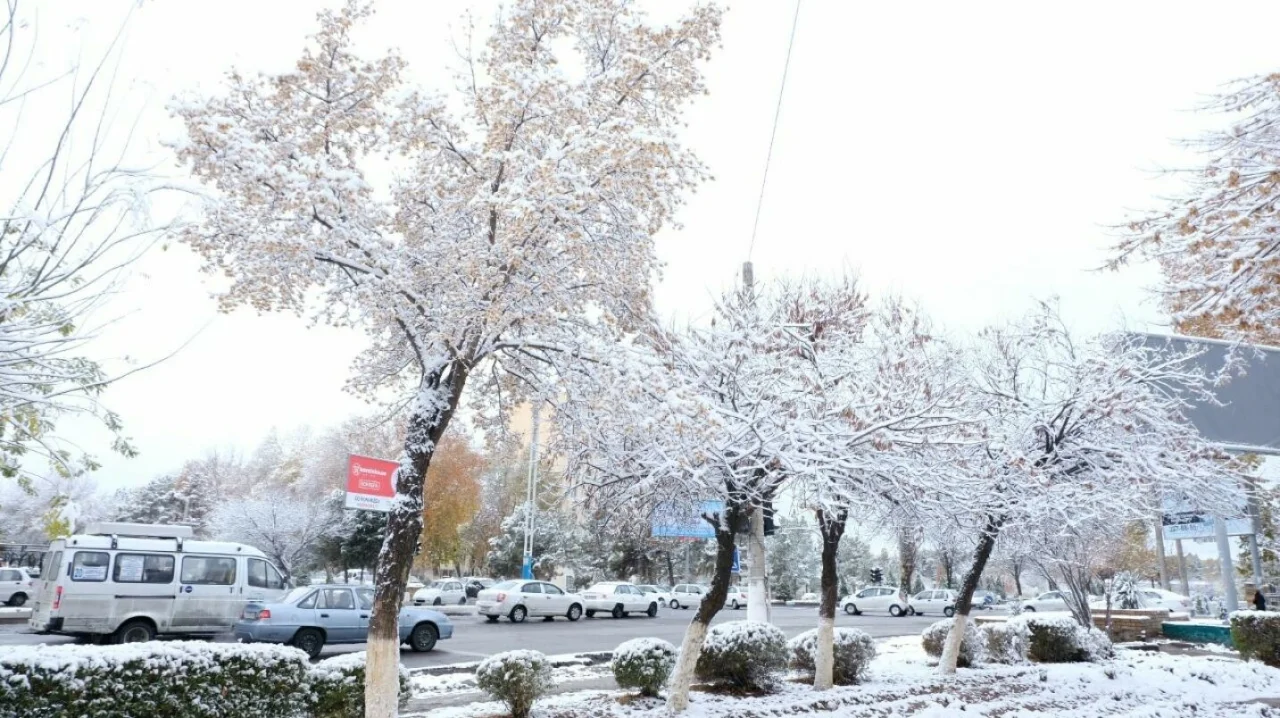 23-dekabr: O‘zbekistonda salqin va barqaror ob-havo