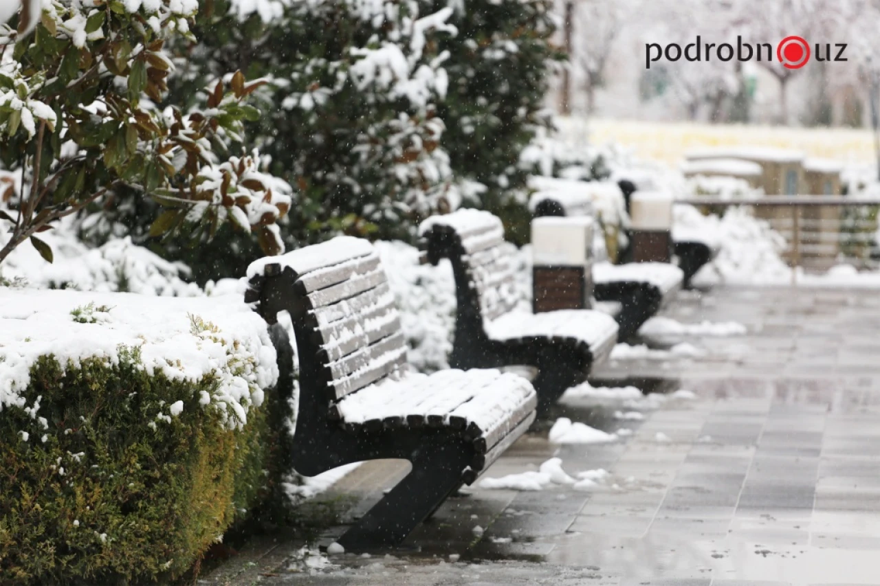 Yanvarda O‘zbekistonda sovuq va yog‘ingarchilik kutilmoqda