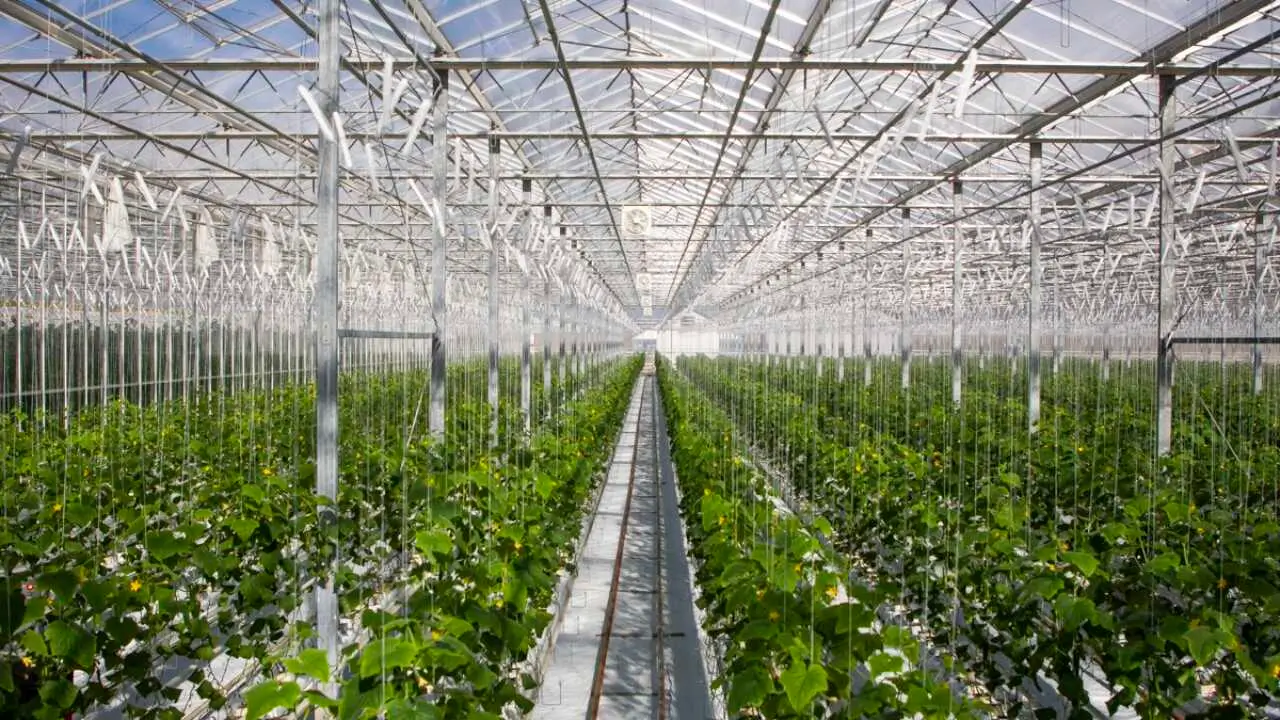 В Ташкенте прекратится работа угольных котлов без фильтров