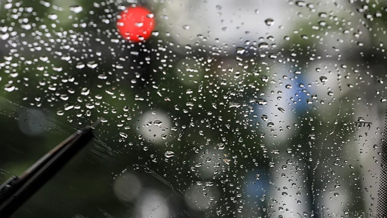 Rain and fog expected in many regions tomorrow