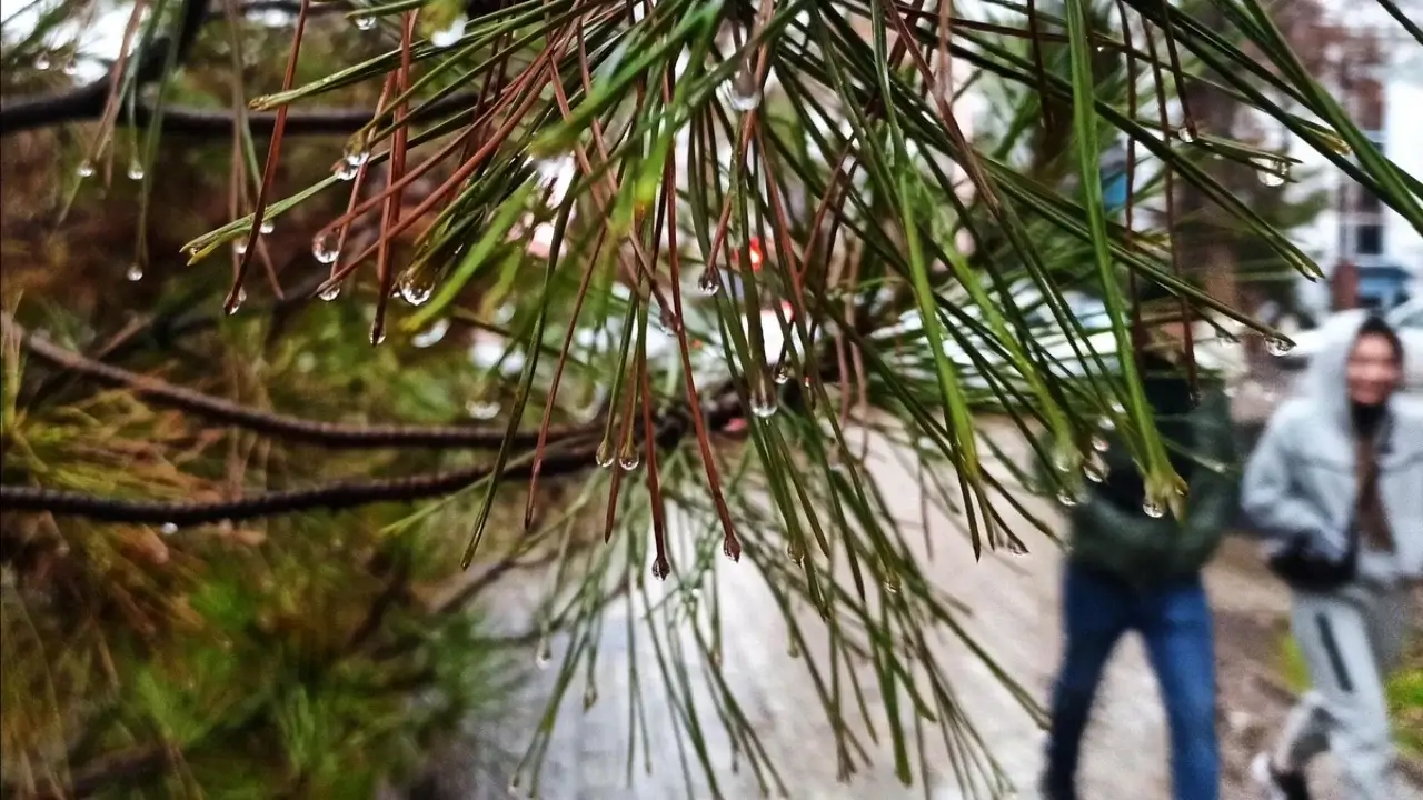 25 декабря: в Узбекистане ожидается теплая и спокойная погода