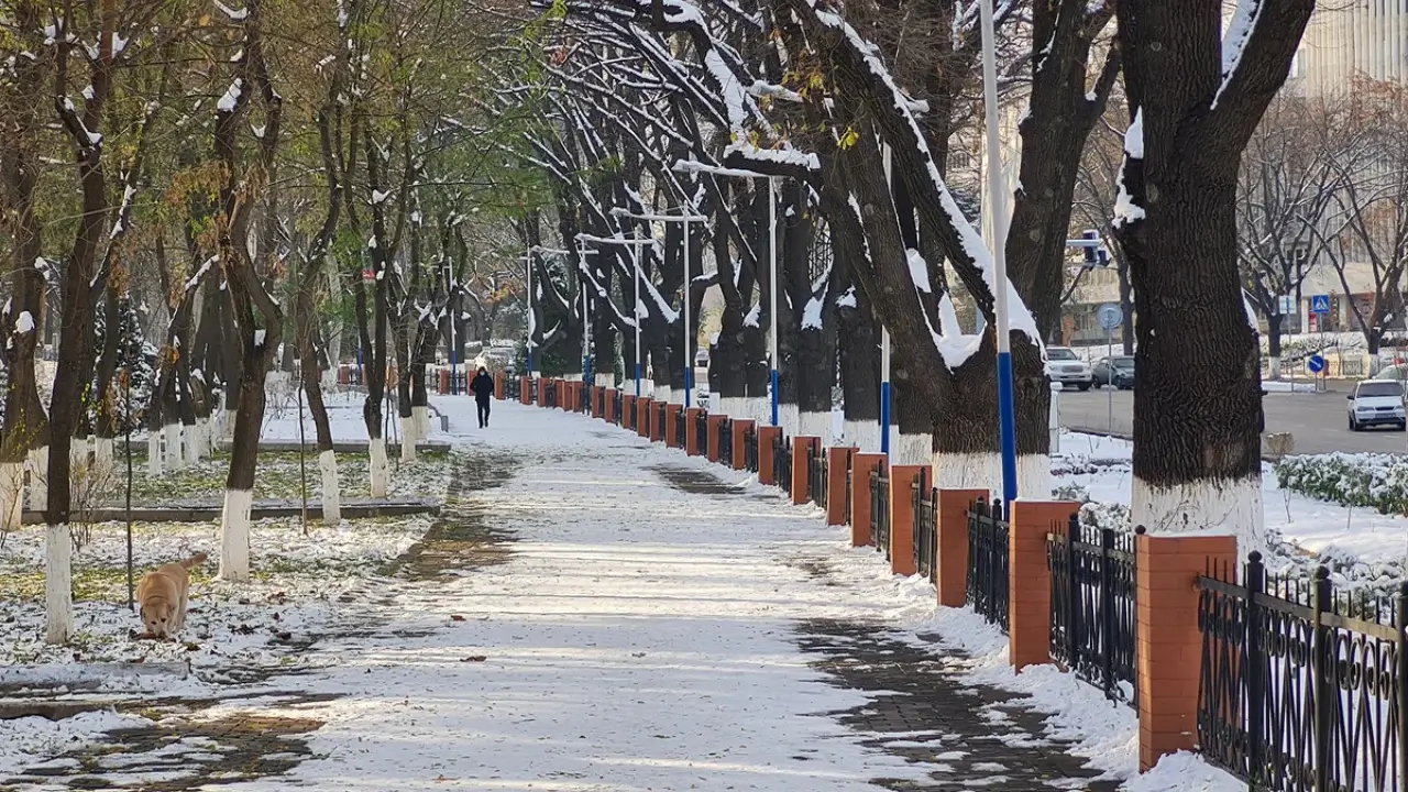 December 26: Cold and foggy weather expected in Uzbekistan