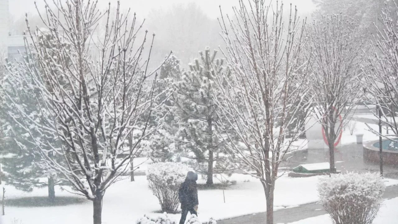 December 22: Snow, fog, and freezing expected