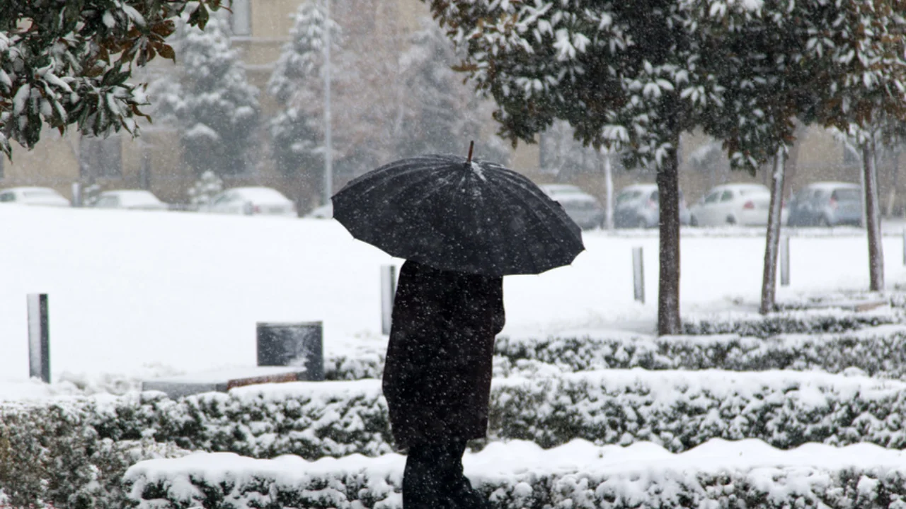 Weather will be variable on December 11