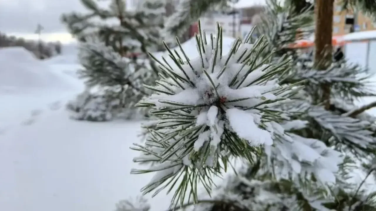 December 15: Rain in some areas, snow in others