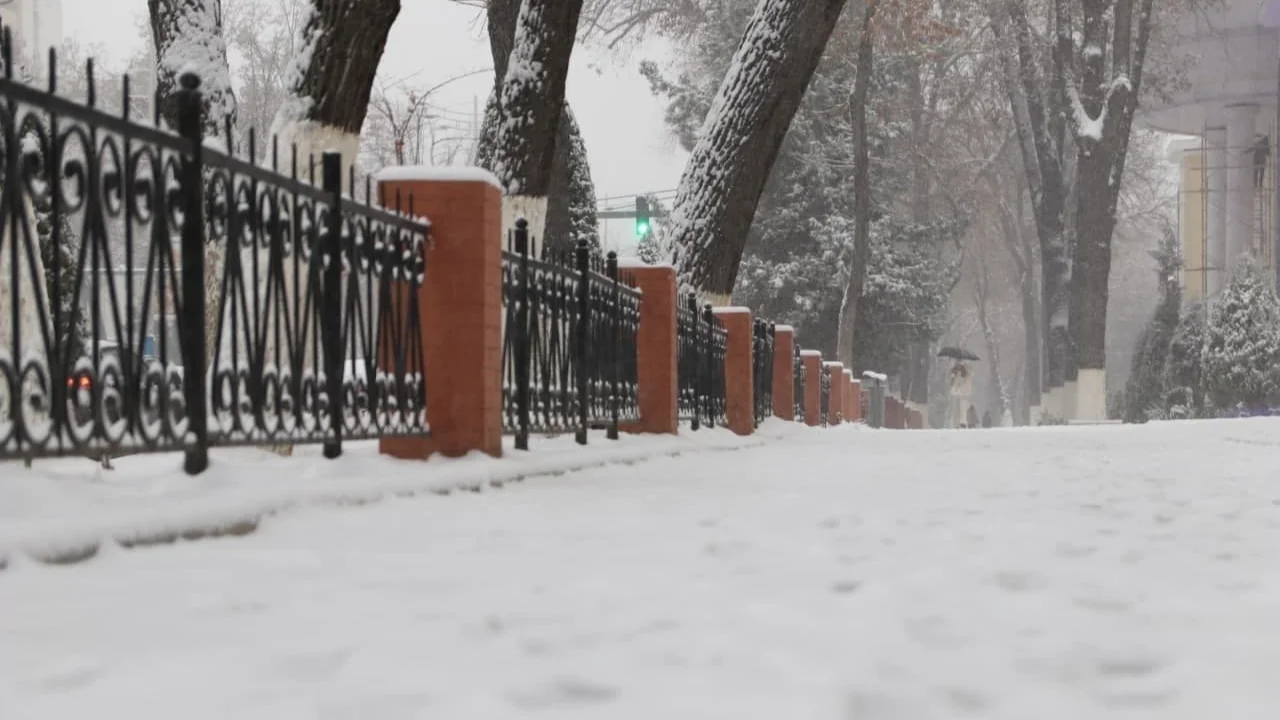 23 декабря: ожидаются снег, туман и тёплые дни