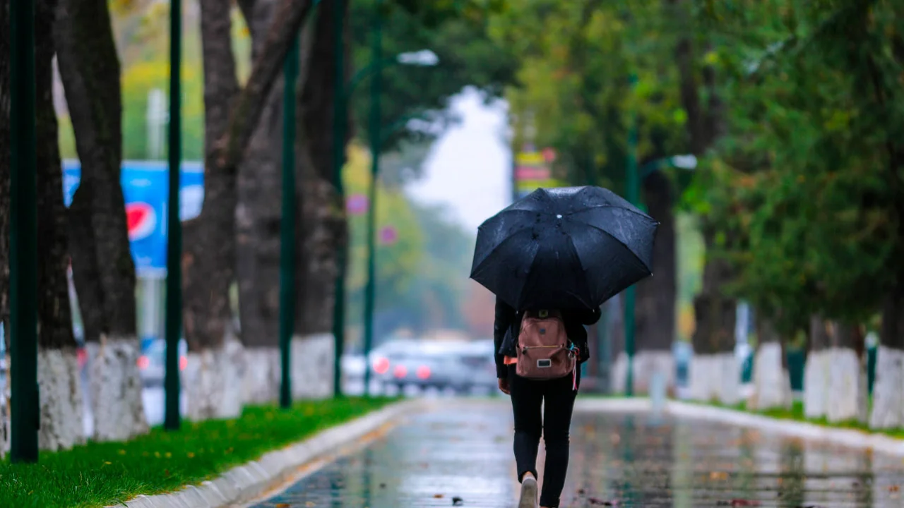 Rain and fog expected in Uzbekistan on December 14
