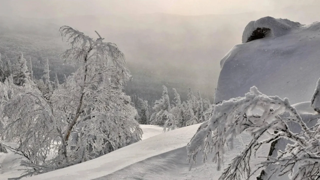 8–10 dekabrda sovuq havo va kuchli shamol kutilmoqda