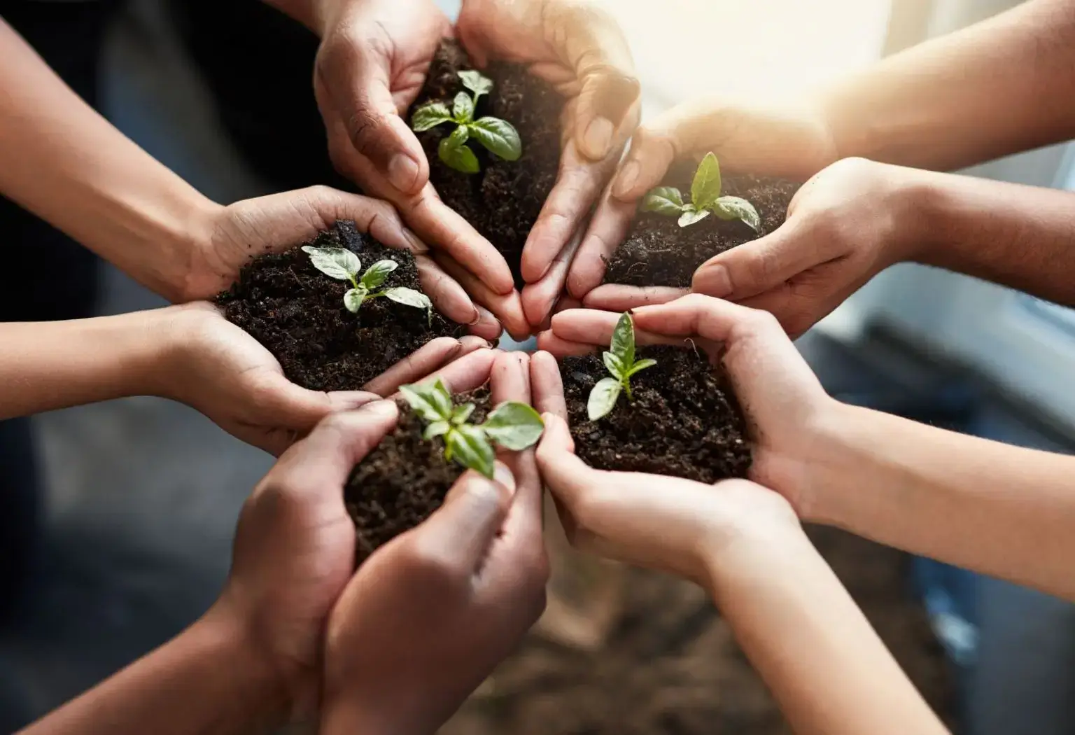 В Узбекистане в 2026 году будет выделено 1,9 триллиона сум на экологию