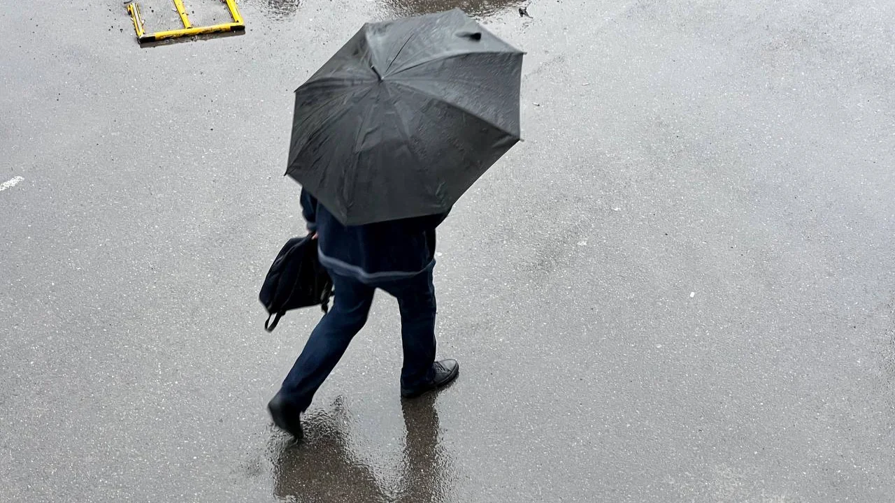 17 декабря: в Узбекистане ожидаются дождь, туман и холод