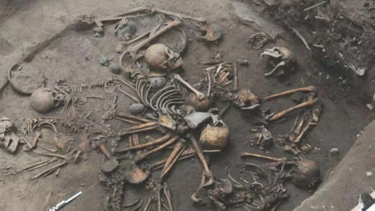 Ag‘damda qazish paytida inson skeletlari topildi