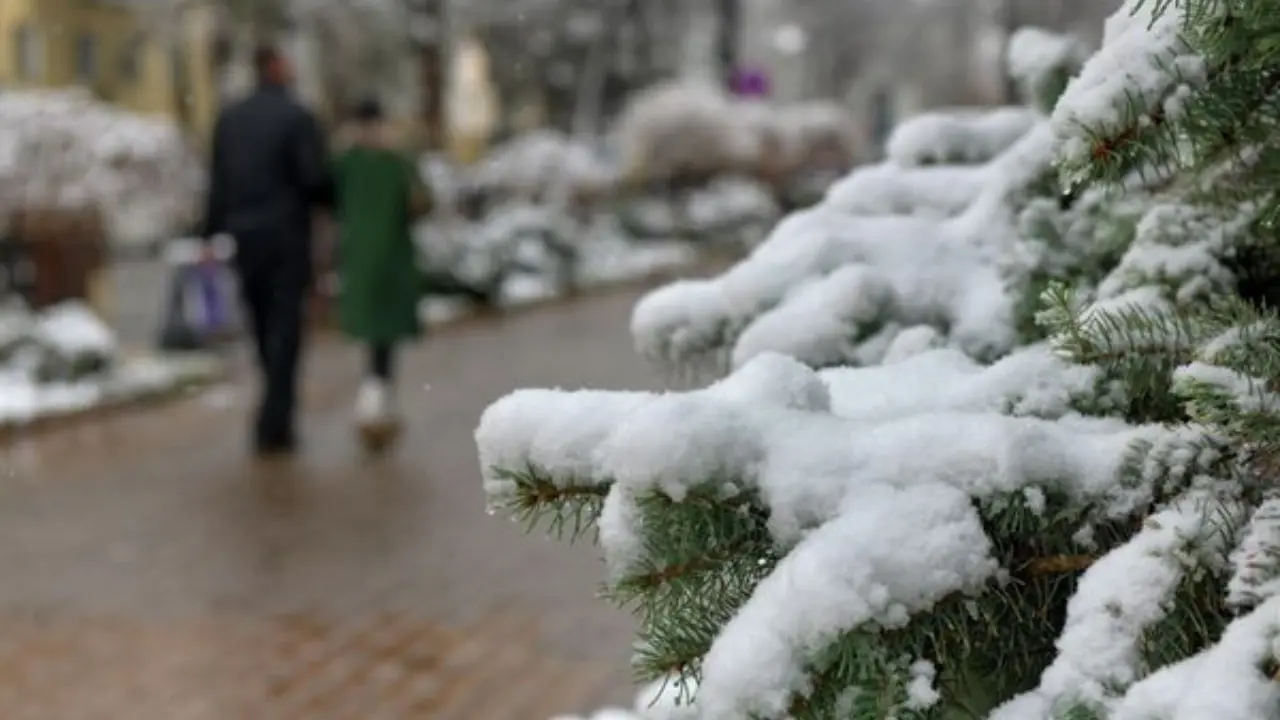January 14: Warm and mostly dry weather in Uzbekistan