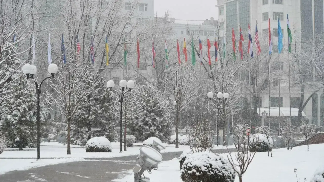 January 14: Warm and dry weather in Uzbekistan