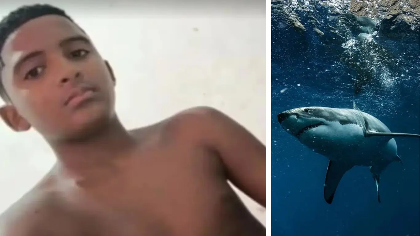 Olindada akula hujumi: 13 yoshli o‘smir halok bo‘ldi