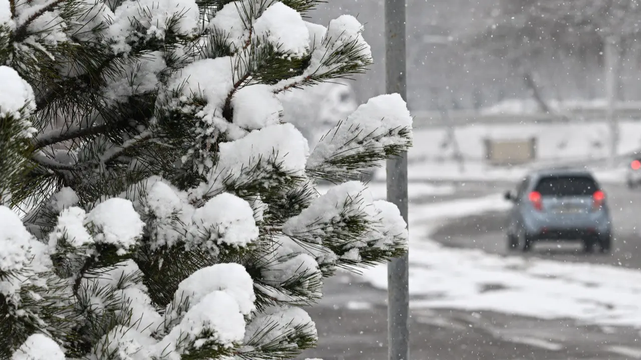 Tomorrow the weather in Uzbekistan will be variable