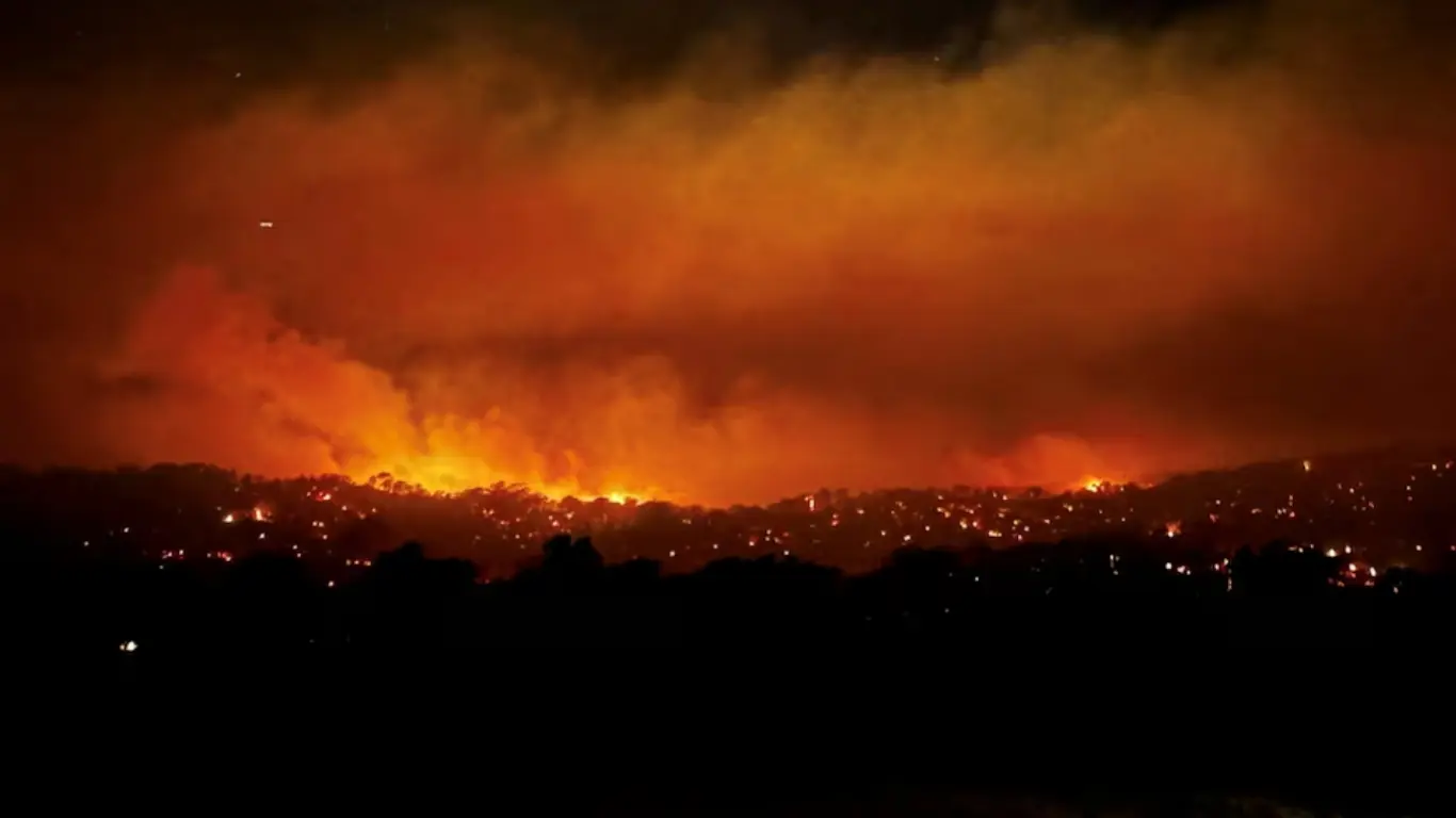 Forest fires in Australia destroyed 350 thousand hectares