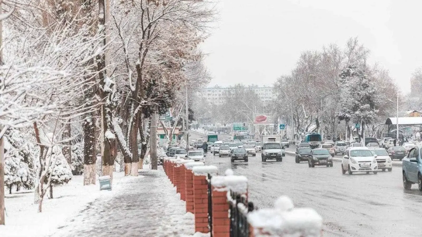 O‘zbekistonda 22–23 yanvar kunlari keskin sovuq bo‘ladi.